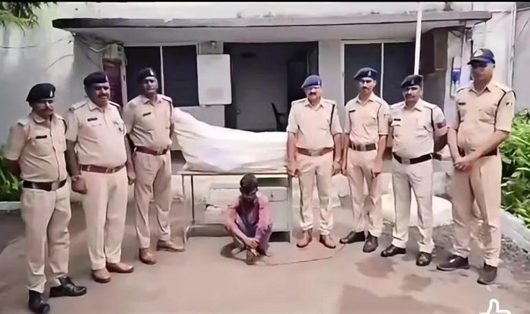 बेड़िया पुलिस का बड़ा एक्शन: खेत में उगा रखे थे गांजे के 19 पौधे, 12 किलो से ज्यादा माल के साथ आरोपी गिरफ्तार